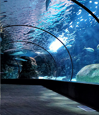 Aquariums image
