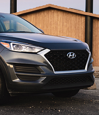 Front grille decorations image