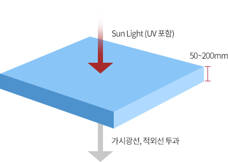 리스트 썸네일