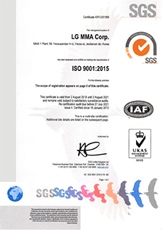 LX MMA certification image